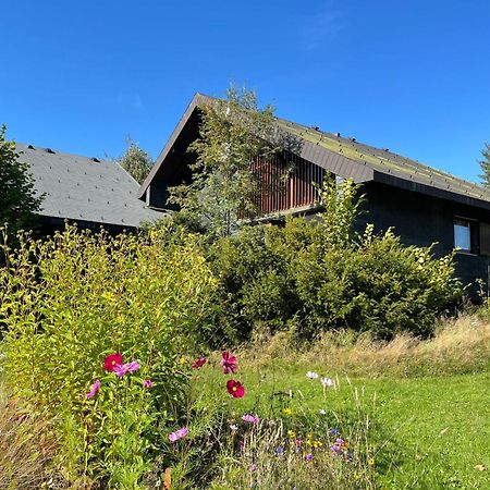 Holiday Home Rechbergblick - Beu302 By Interhome Bernau im Schwarzwald Eksteriør billede