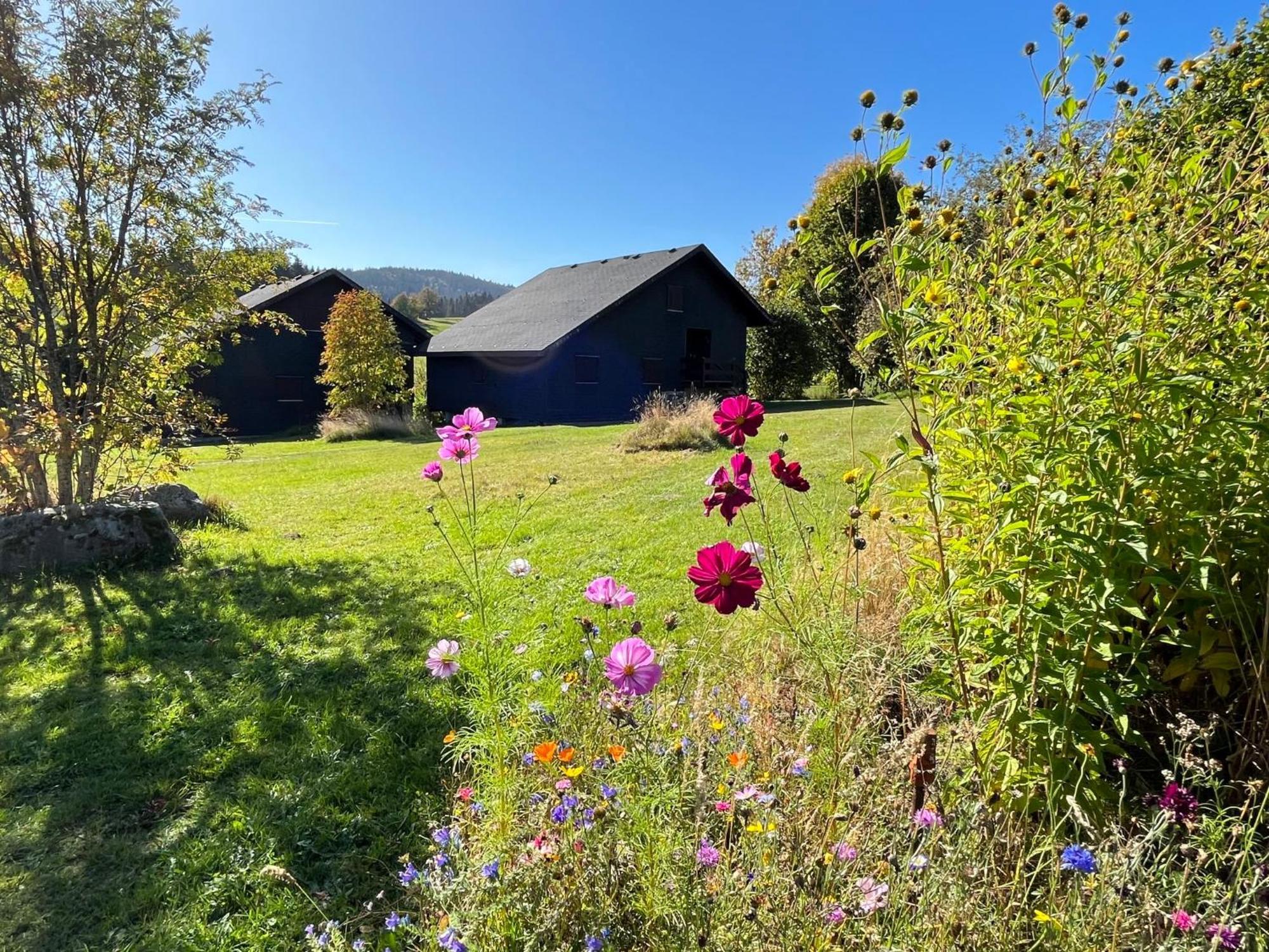 Holiday Home Rechbergblick - Beu302 By Interhome Bernau im Schwarzwald Eksteriør billede
