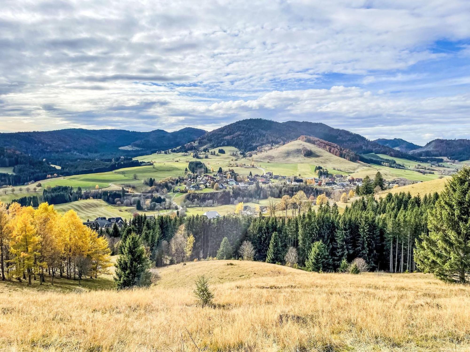 Holiday Home Rechbergblick - Beu302 By Interhome Bernau im Schwarzwald Eksteriør billede